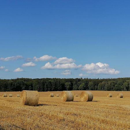 Ferienwohnung Fernblick Osdorf Exteriör bild